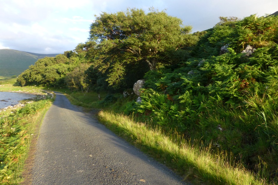 Road beside sea loch, Scotland